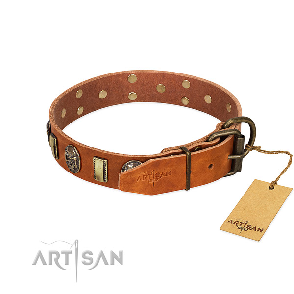 Genuine leather dog collar with reliable hardware and adornments