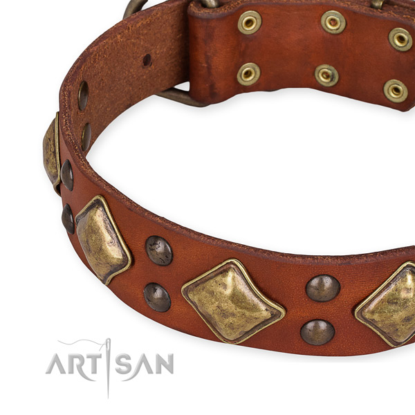 Full grain genuine leather collar with corrosion resistant fittings for your attractive doggie