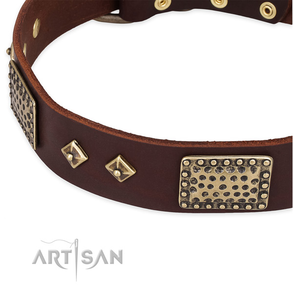 Reliable embellishments on full grain leather dog collar for your canine