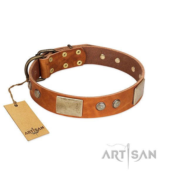 Easy wearing full grain leather dog collar for walking your canine