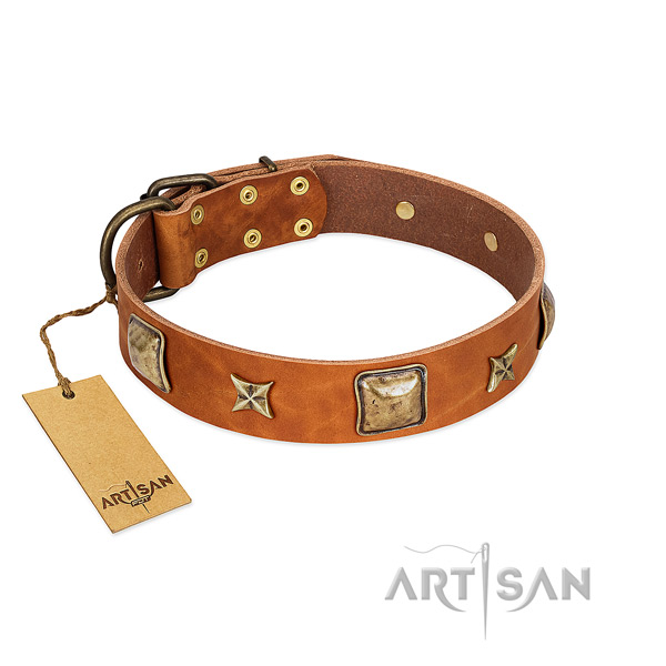 Exquisite full grain natural leather collar for your four-legged friend