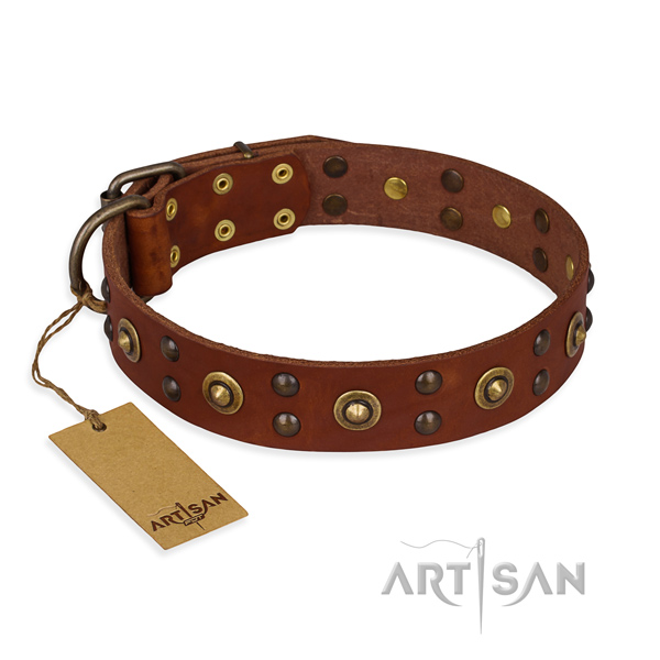 Fine quality full grain natural leather dog collar with reliable hardware