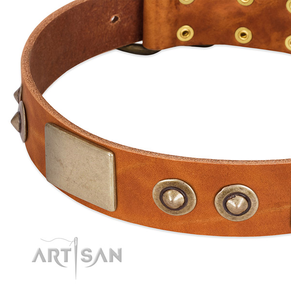 Rust resistant traditional buckle on leather dog collar for your four-legged friend