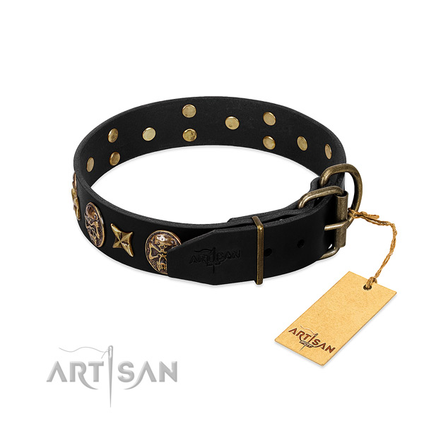 Durable embellishments on leather dog collar for your dog