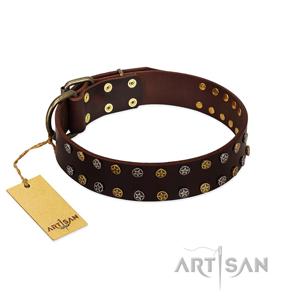 Stylish walking gentle to touch full grain leather dog collar with adornments