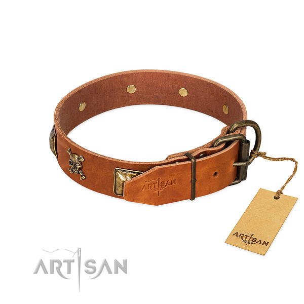 Impressive genuine leather dog collar with rust resistant decorations