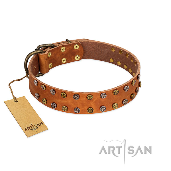 Everyday walking top rate full grain natural leather dog collar with decorations