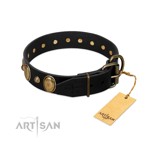 Corrosion resistant hardware on full grain natural leather collar for stylish walking your four-legged friend