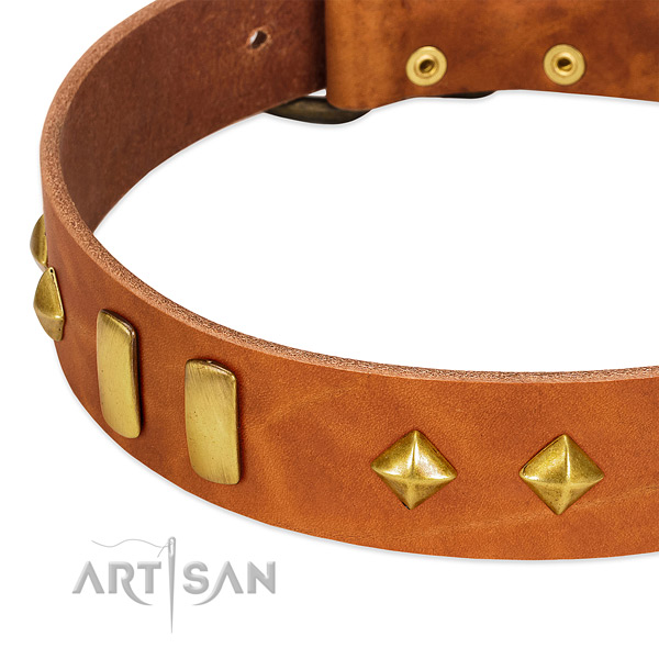 Comfortable wearing leather dog collar with stylish design adornments