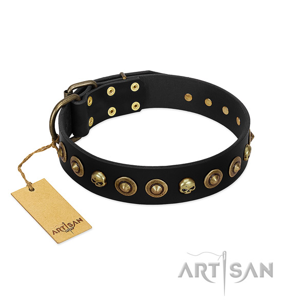 Full grain natural leather collar with inimitable embellishments for your doggie
