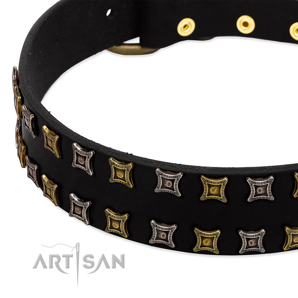 Reliable leather dog collar for your attractive canine