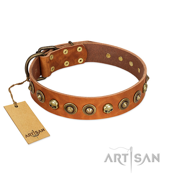 Natural leather collar with inimitable decorations for your dog