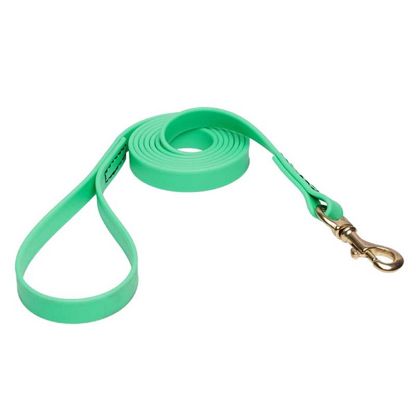 Biothane Dog Leash for Walking