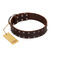 "Star Party" Handmade FDT Artisan Brown Leather Siberian Husky Collar with Silver-Like Studs  "Star Party" Handmade FDT Artisan Brown Leather Siberian Husky Collar with Silver-Like Studs
