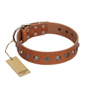 "Silver Age" Fashionable FDT Artisan Tan Leather Siberian Husky Collar with Silver-Like Studs  "Silver Age" Fashionable FDT Artisan Tan Leather Siberian Husky Collar with Silver-Like Studs